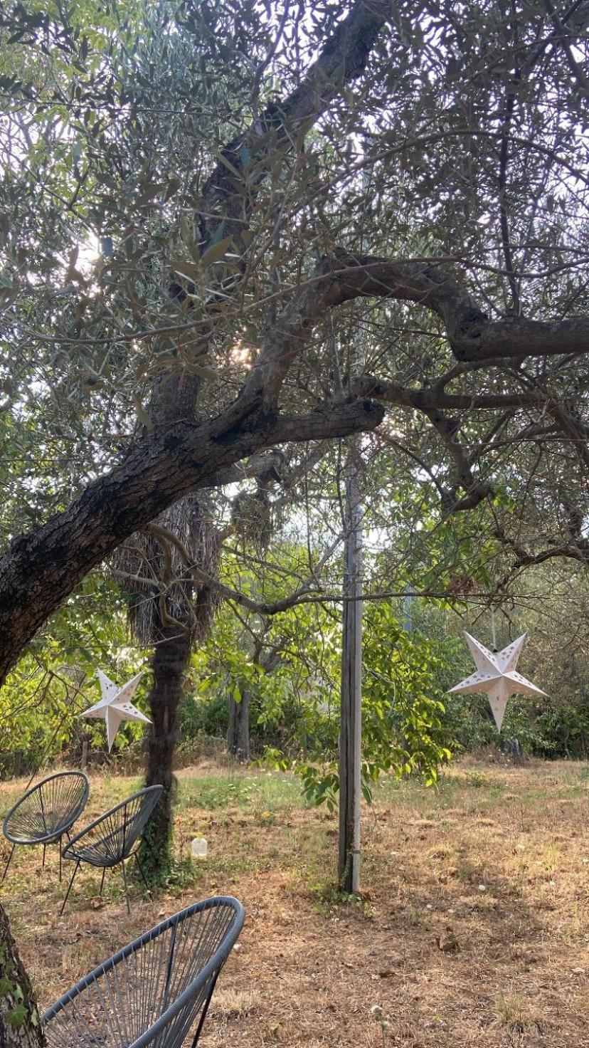 Bolsena Cento20 - Rooms & Relax Εξωτερικό φωτογραφία